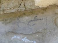 Albums/20060200-New Zealand 2006/20060316-Twiz/22